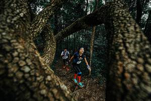 BIB: 
                            <button type="button" onclick="openModal(25675341)" class="btn btn-primary btn-sm float-right btn-popup" data-toggle="modal" data-target=".modal-high-quality">
                        <i class="fas fa-shopping-cart"></i> Add to Cart
                    </button>
                                            <button type="button" onclick="isThisMe(25675341, true)" class="btn btn-success btn-sm float-right btn-popup btn-isme hidden" data-toggle="tooltip" data-placement="bottom" title="นี่คือรูปของคุณใช่ไหม คลิกที่นี่เพื่อเอาเข้าอัลบั้ม">
                        <i class="fas fa-plus"></i> Add to album
                    </button>
                    <button type="button" onclick="isThisMe(25675341, false)" class="btn btn-warning btn-sm float-right btn-popup btn-isnotme hidden">
                        <i class="fas fa-ban"></i> Remove from album
                    </button>